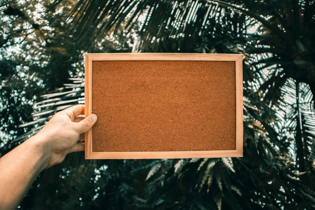 Tableau d'affichage avec documents épinglés dans un bureau d'entreprise